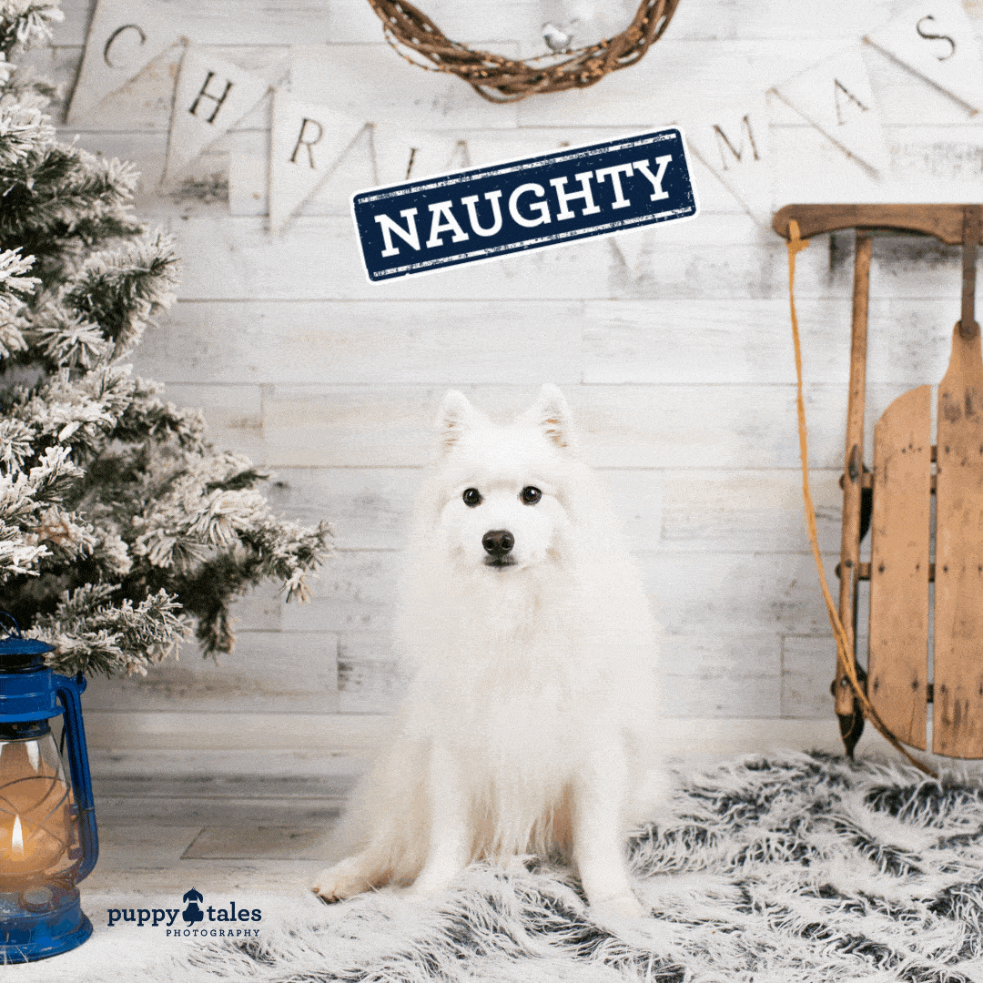 Puppy Tales Naughty or Nice Sneak Peek Keiko
