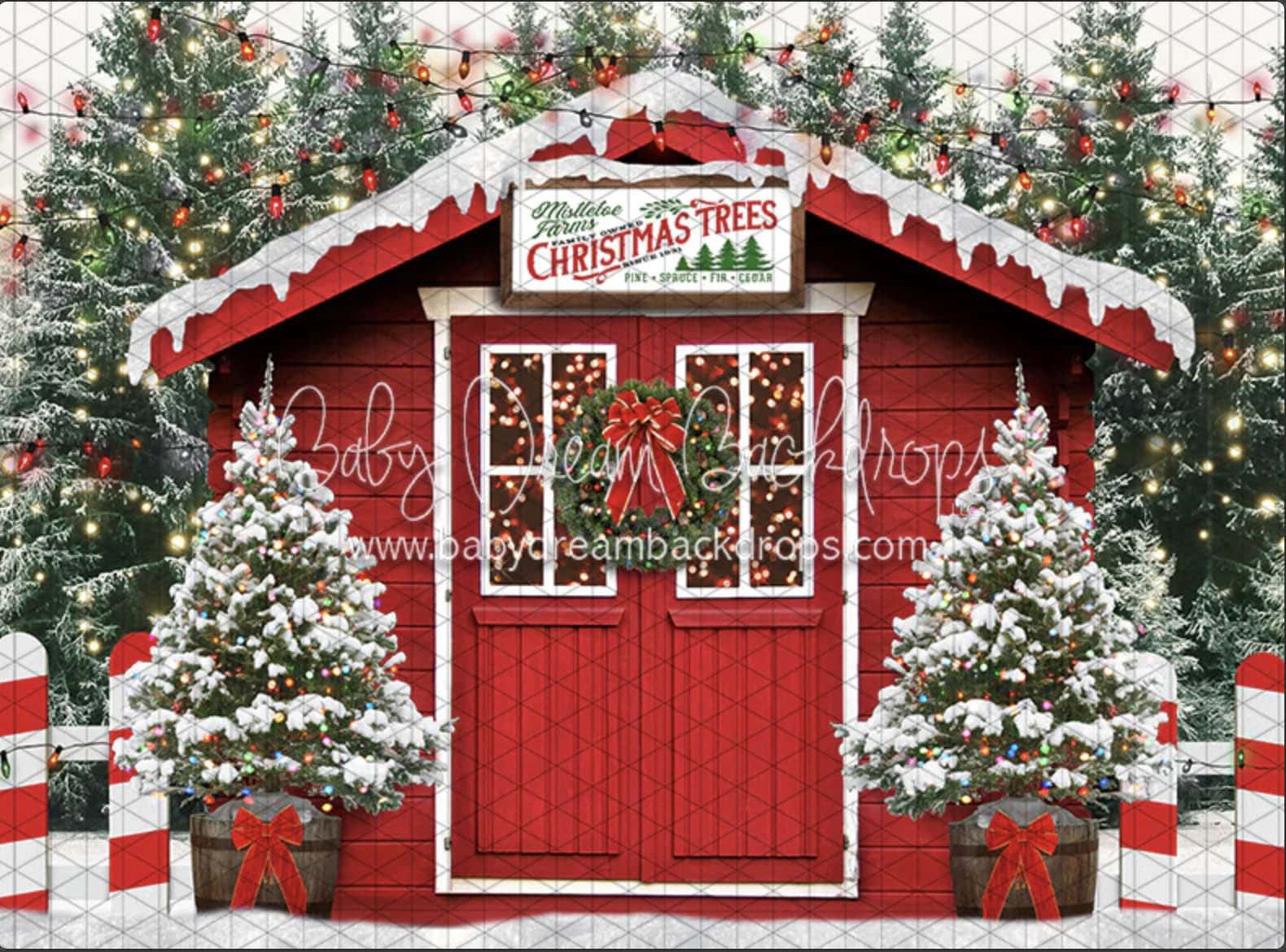 2022 Christmas Mini Setting