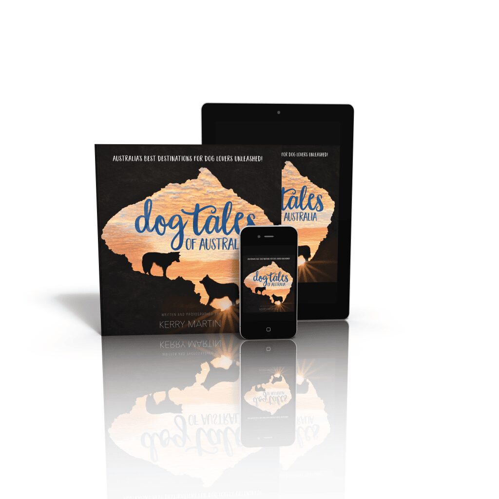Dog Tales of Australia eBook