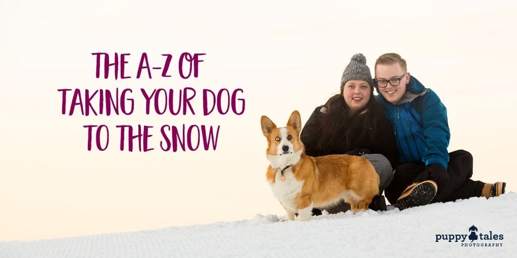 A Z Of Taking Your Dogs To The Snow Title 2