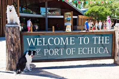 Dog Friendly Destinations ~ Echuca