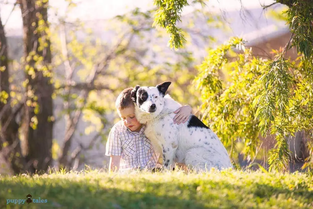 akemi photography kids pets 1