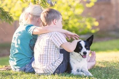 February 20th is ‘Love Your Pet Day’. How will you mark the day?