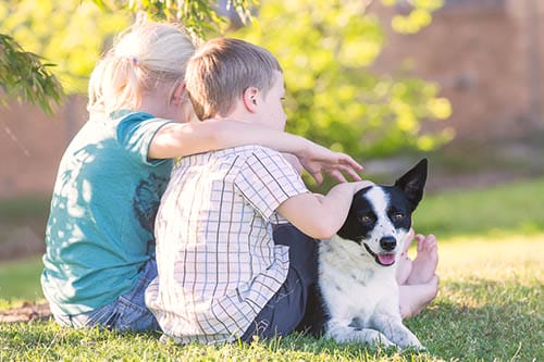 February 20th is ‘Love Your Pet Day’. How will you mark the day?