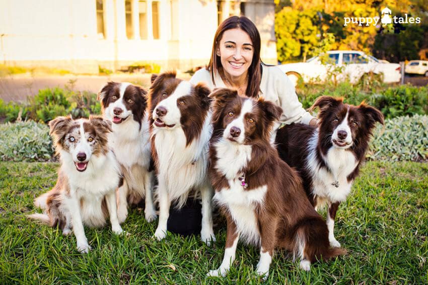 Dr Katrina and the Wonderdog Team