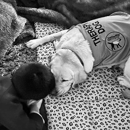 Artemis (ARTE)-Labrador-web