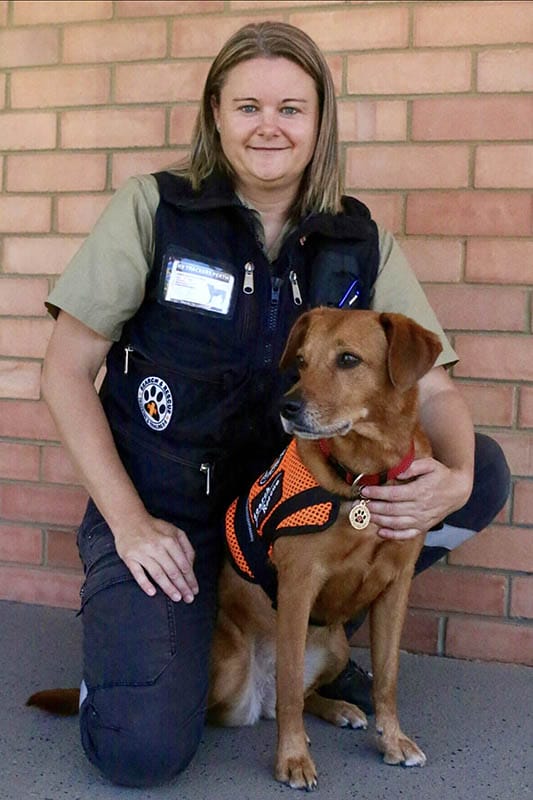 Aust dog of the year 2024 finalist Bella