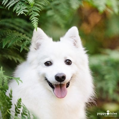 Bella and Riley pose with the greenery of Emerald Park Lake in the Dandenong Ranges as they show off their personalities