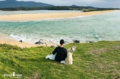 Bermagui Coastal Walk Dog Friendly Hike