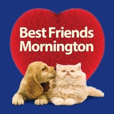 Huge Thankyou to Best Friends Mornington from Tales of Fluff