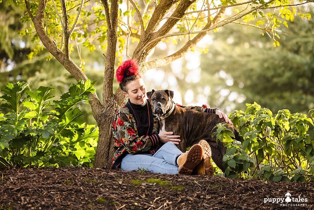 Lulu the Boxer's dog photography session at Wilson Botanic Park with her human Kate