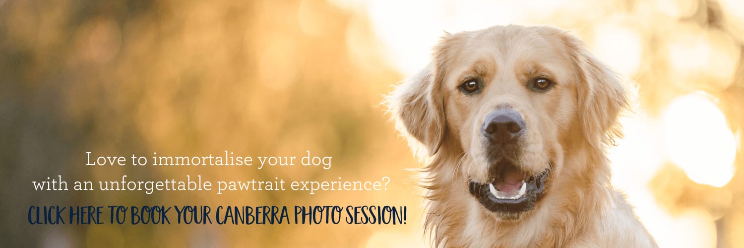 Book a photo session and enjoy the beauty of Canberra together.
