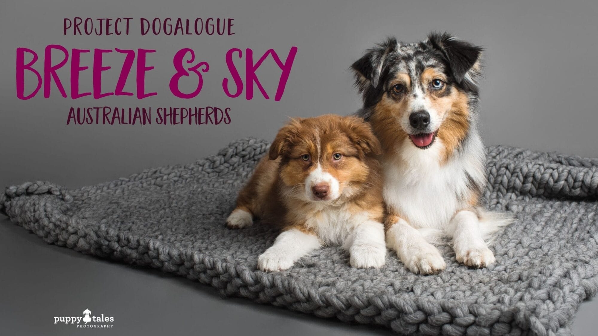 Breeze Sky Dogalogue Title