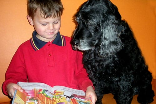 Delta Therapy Dogs