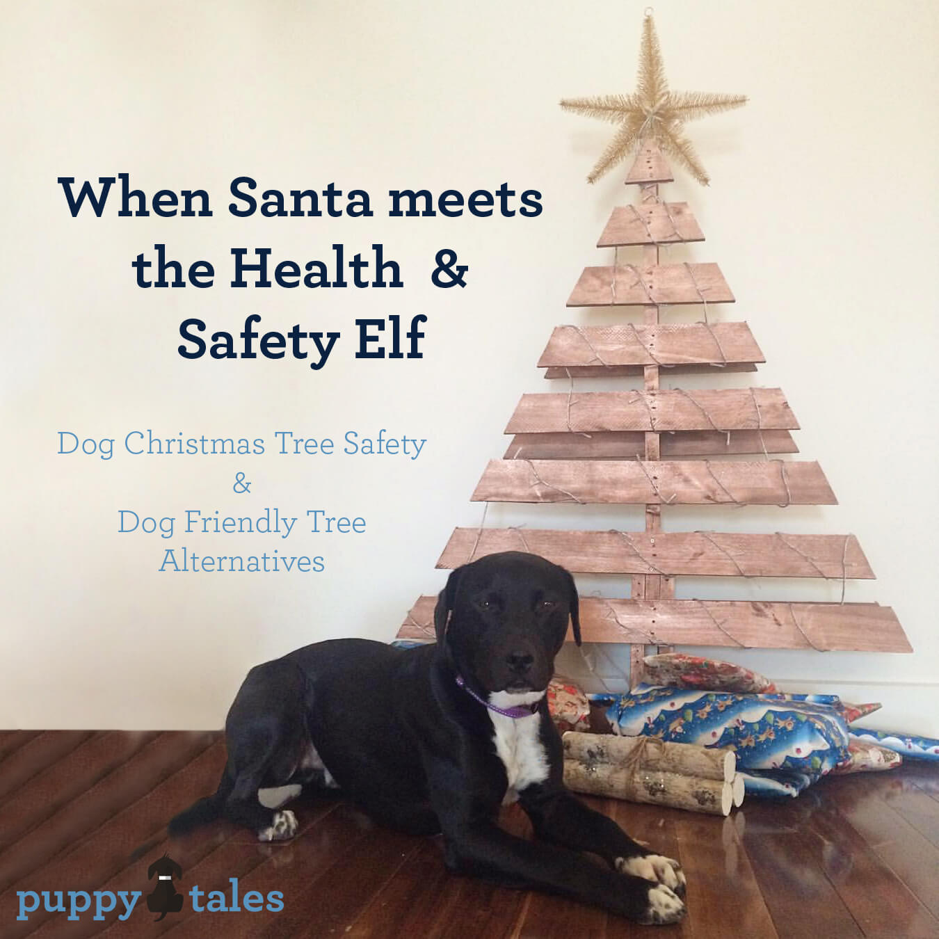 Dog Christmas Tree Safety & Alternatives