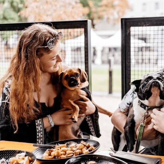 Owners dining in a dog friendly restaurant around Melbourne's outer suburbs with some food on the table and their dogs on their lap