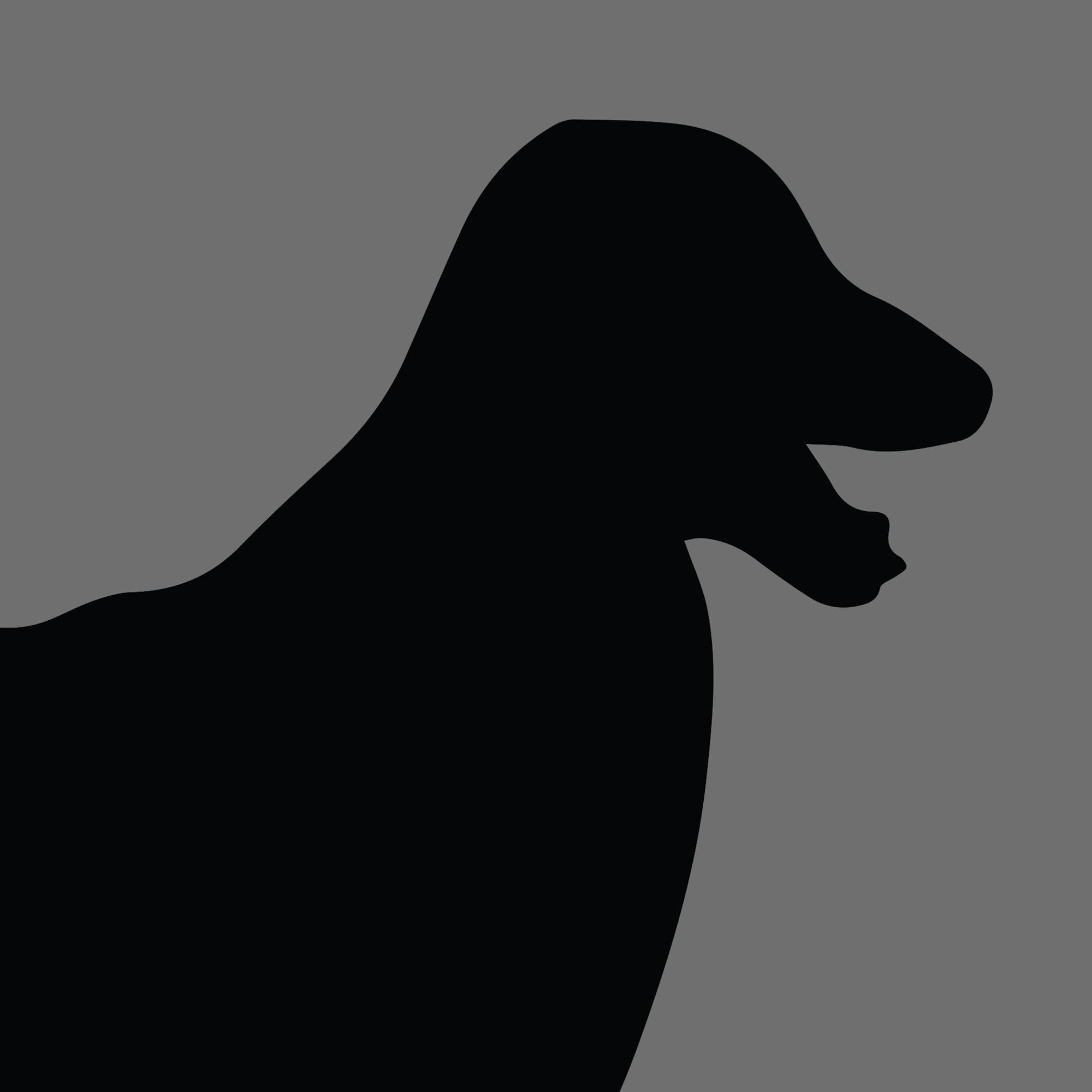 Dog Silhouette Square Afghan Hound e1618461188295