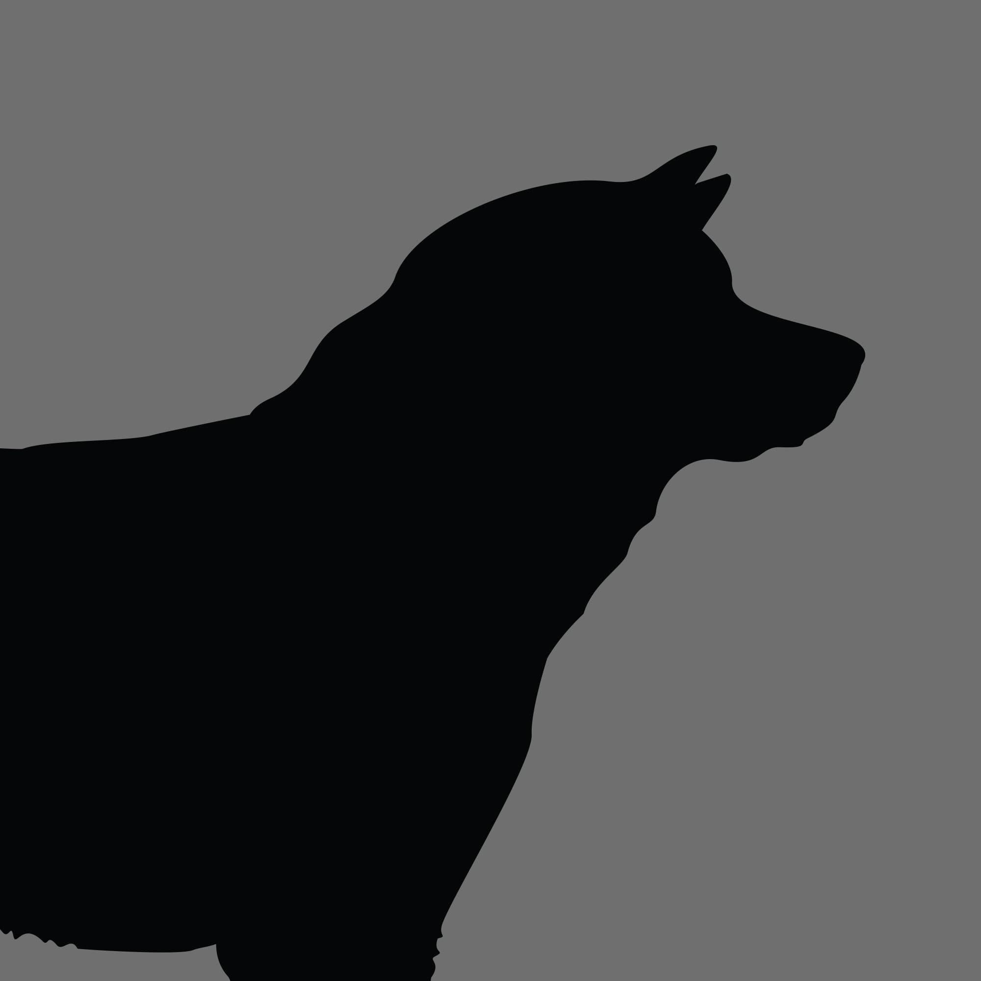 Dog Silhouette Square Akita 1 e1618461152974