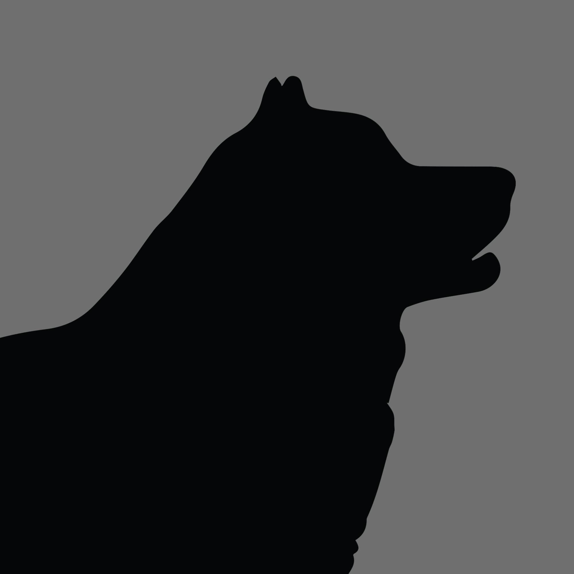 Dog Silhouette Square Alaskan Malamute 1