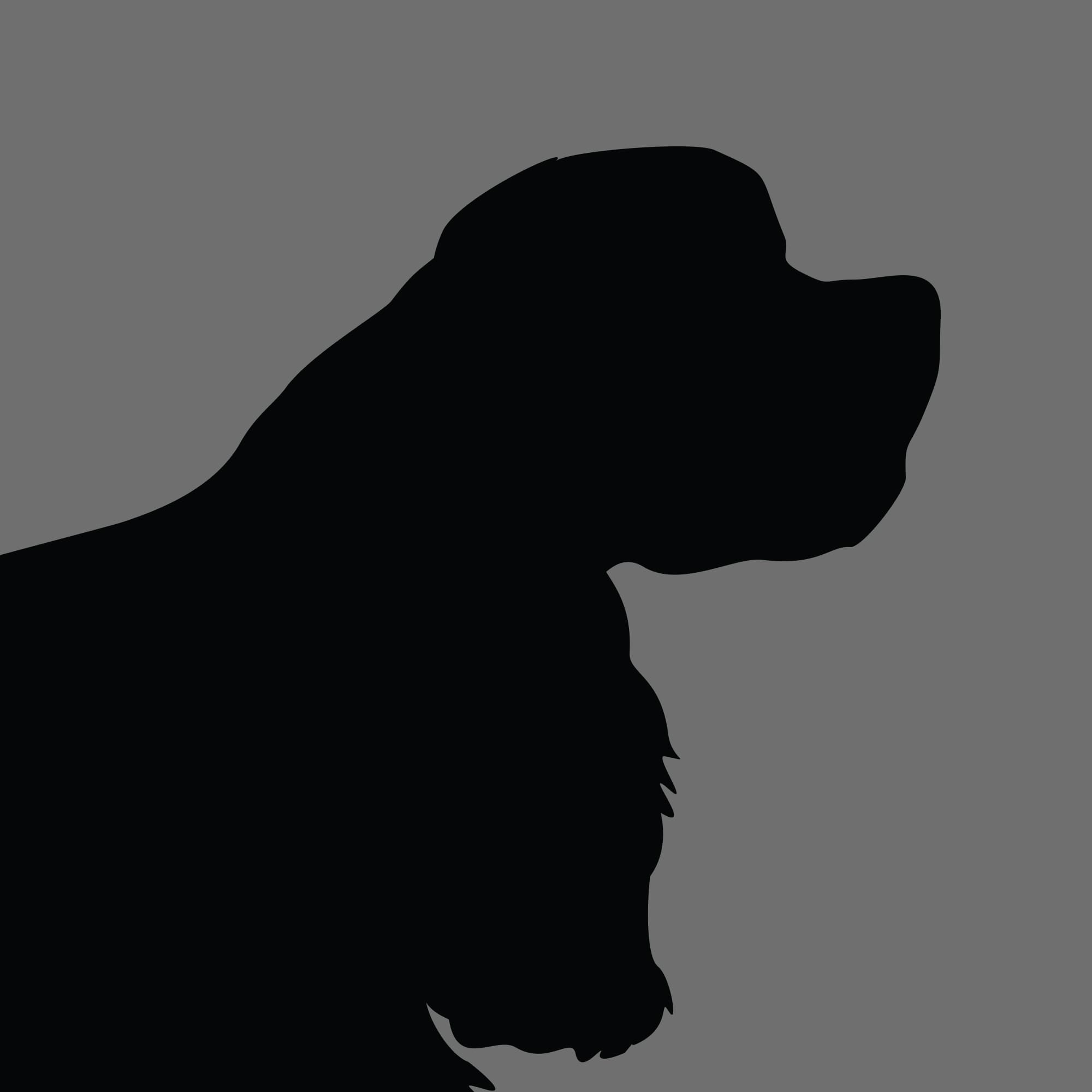 Dog Silhouette Square American Cocker Spaniel