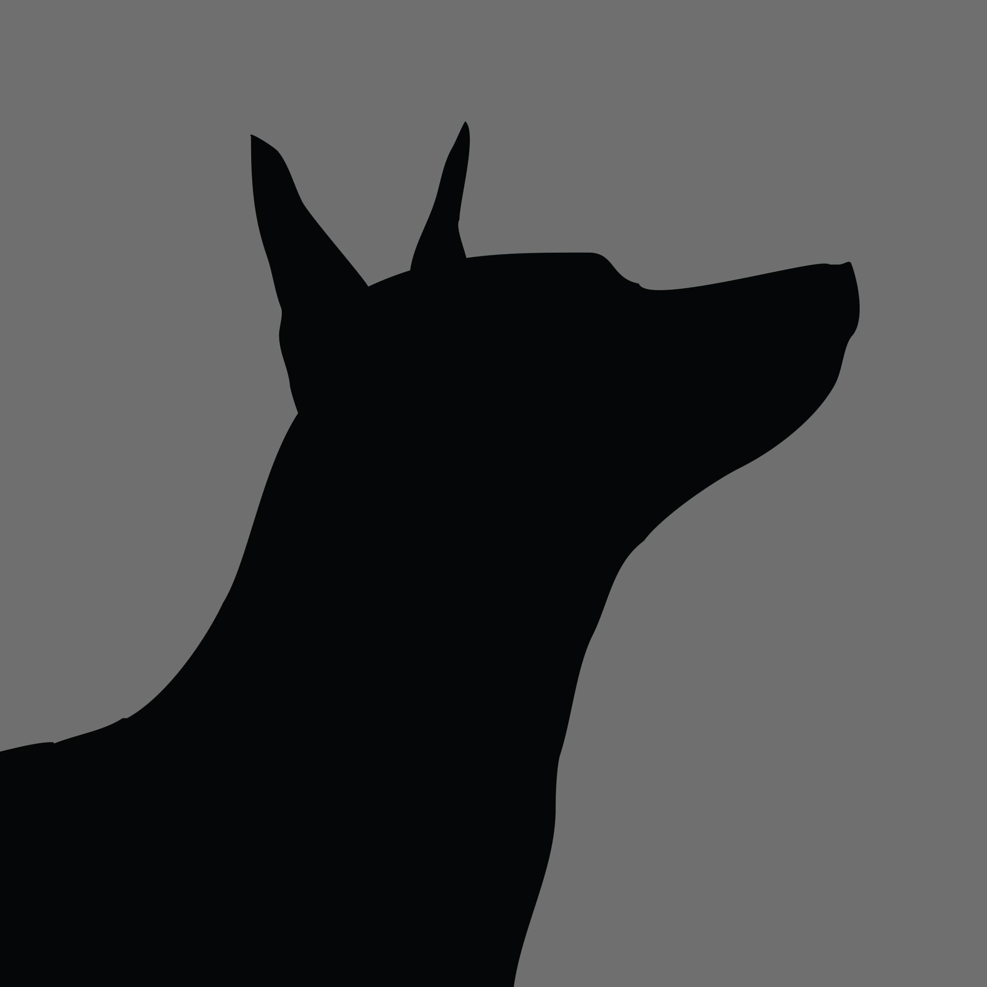 Dog Silhouette Square American Hairless Terriers