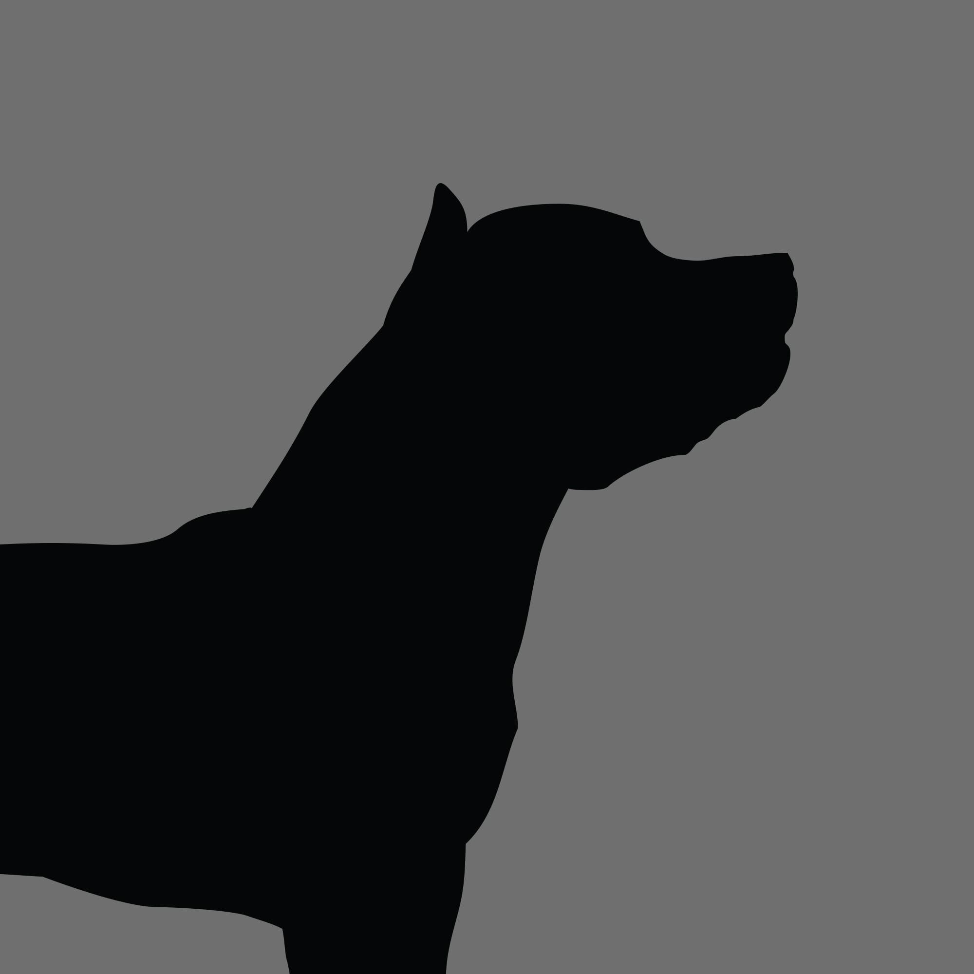Dog Silhouette Square American Staffordshire Bull Terrier e1618461362879