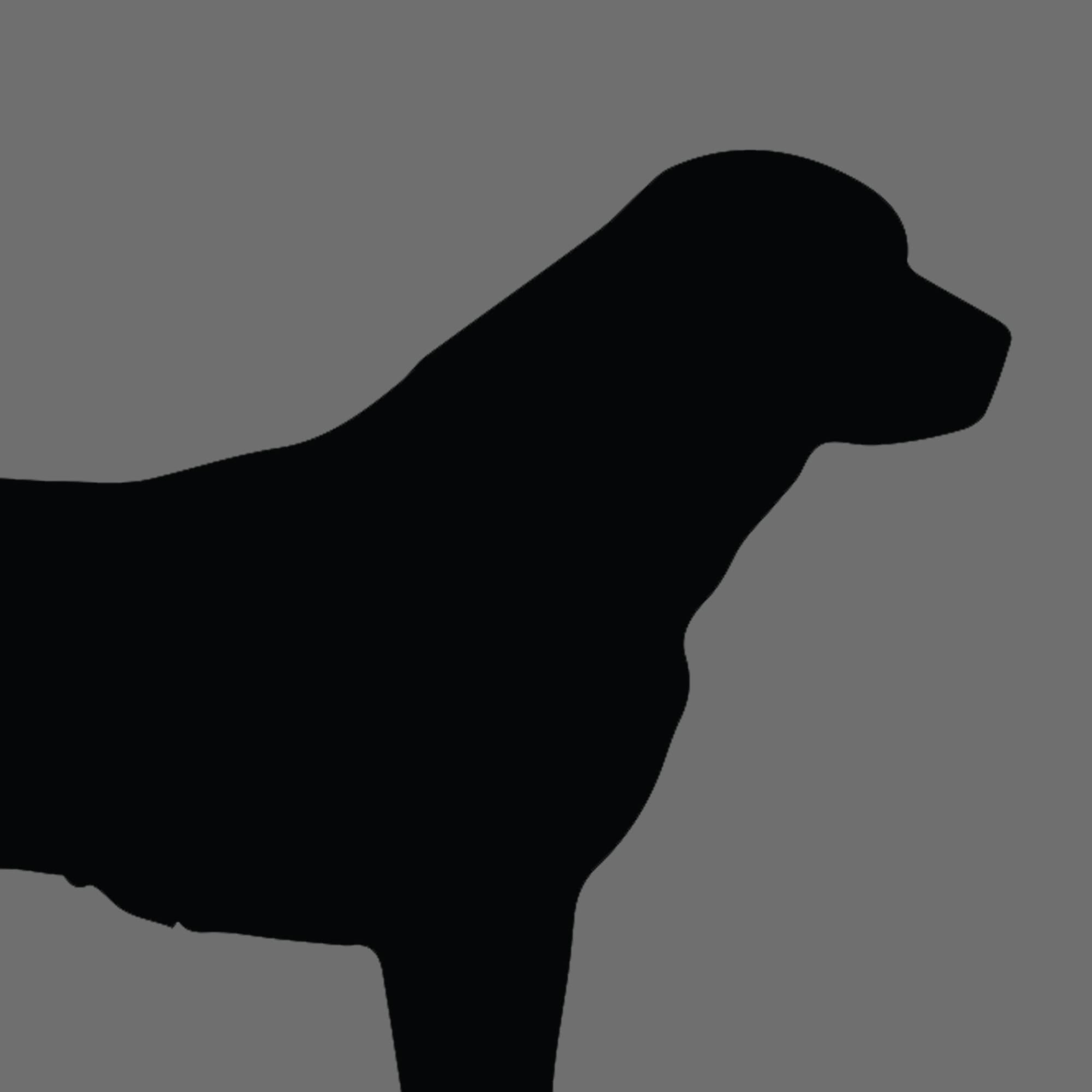 Dog Silhouette Square Anatolian Shepherd