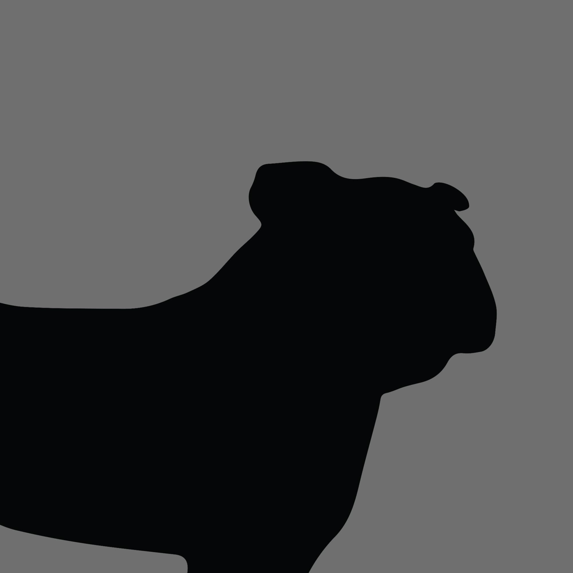 Dog Silhouette Square Aussie Bulldog e1618461382796