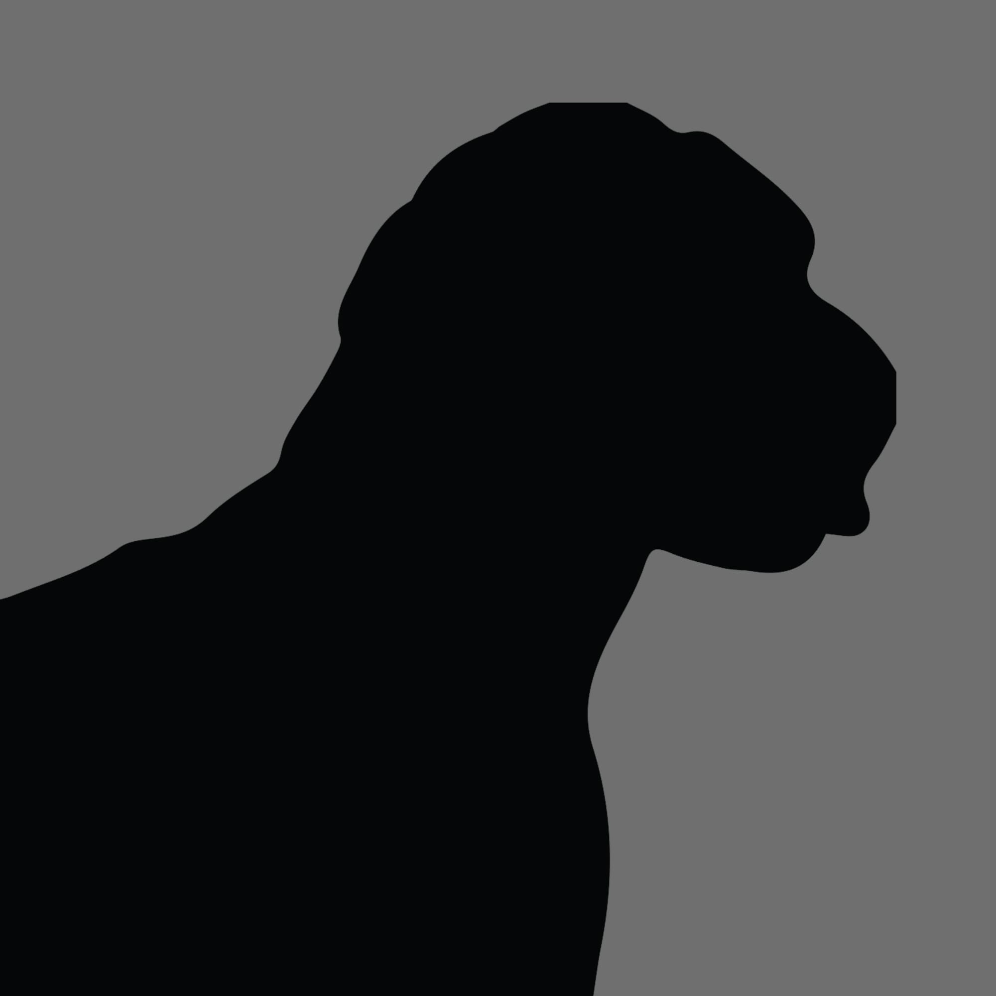 Dog Silhouette Square Australian Labradoodle