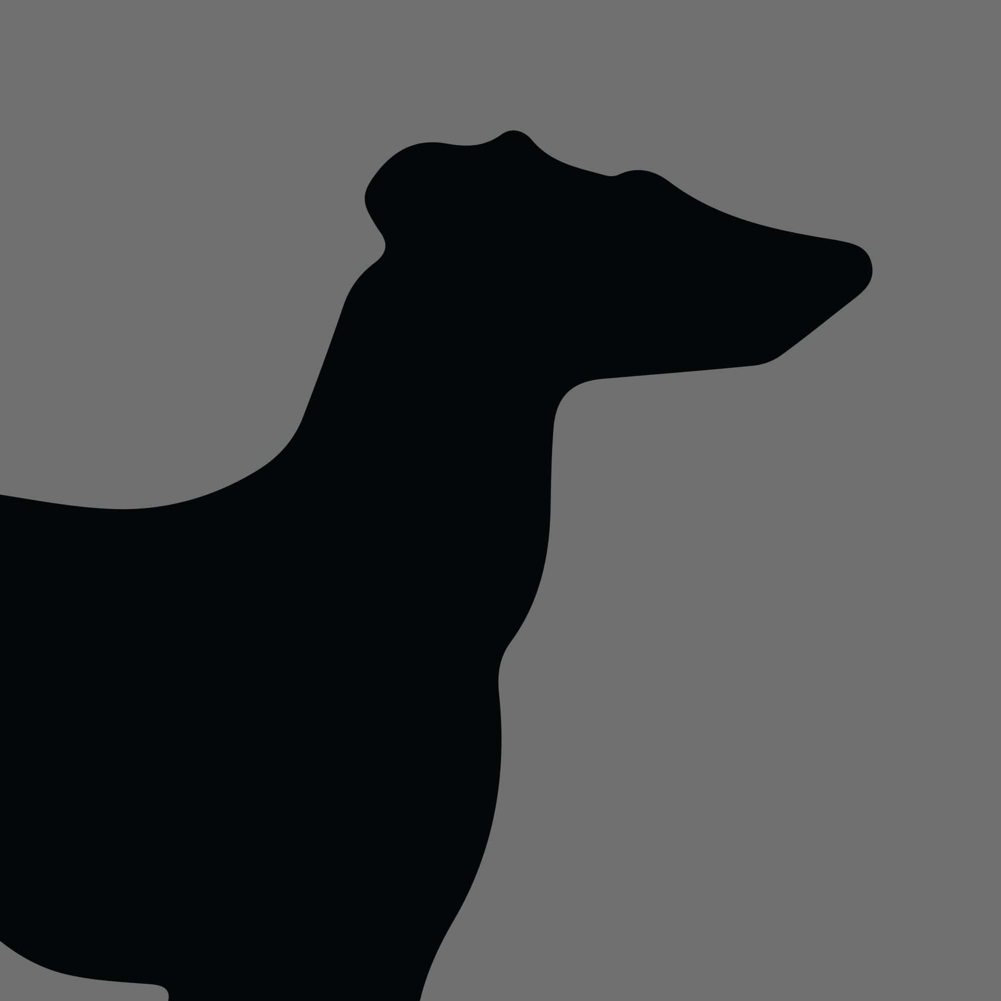 Dog Silhouette Square Australian Staghound