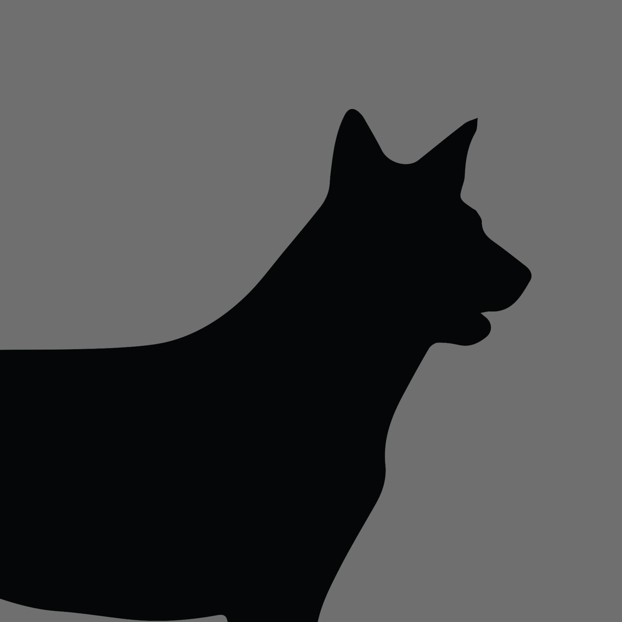 Dog Silhouette Square Australian Stumpy Tail Cattle Dog e1618461473562