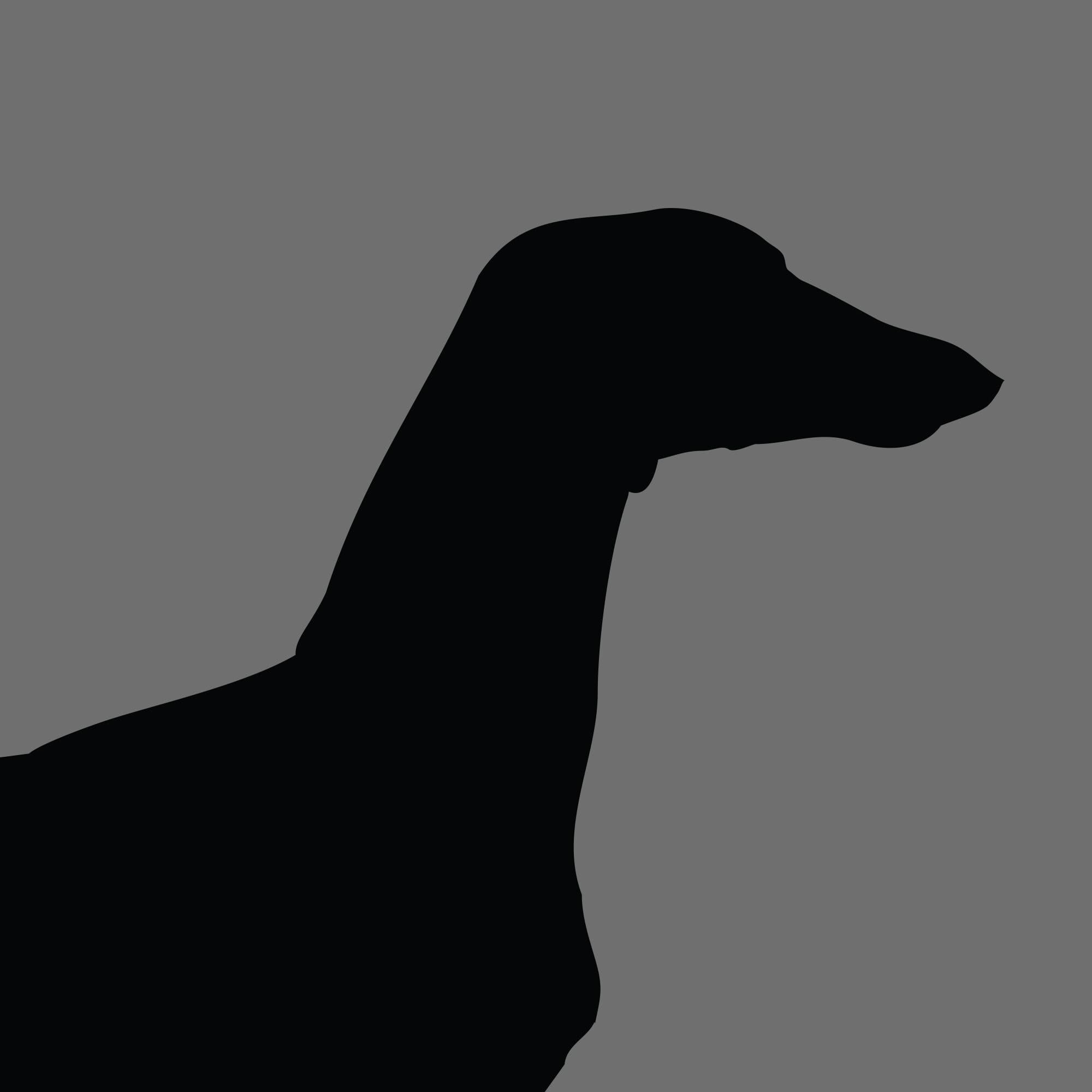 Dog Silhouette Square Azawakh e1618461505527