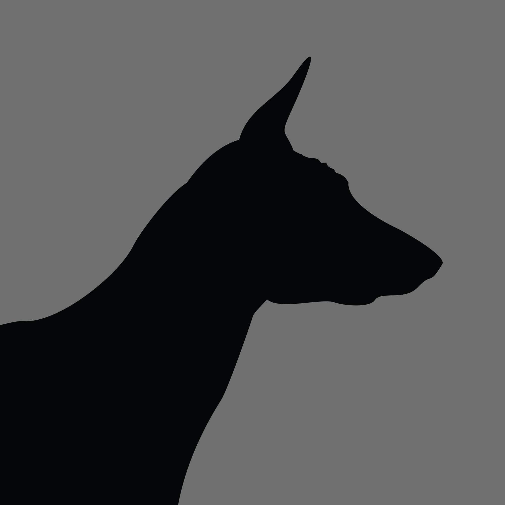 Dog Silhouette Square Basenji e1618461518707