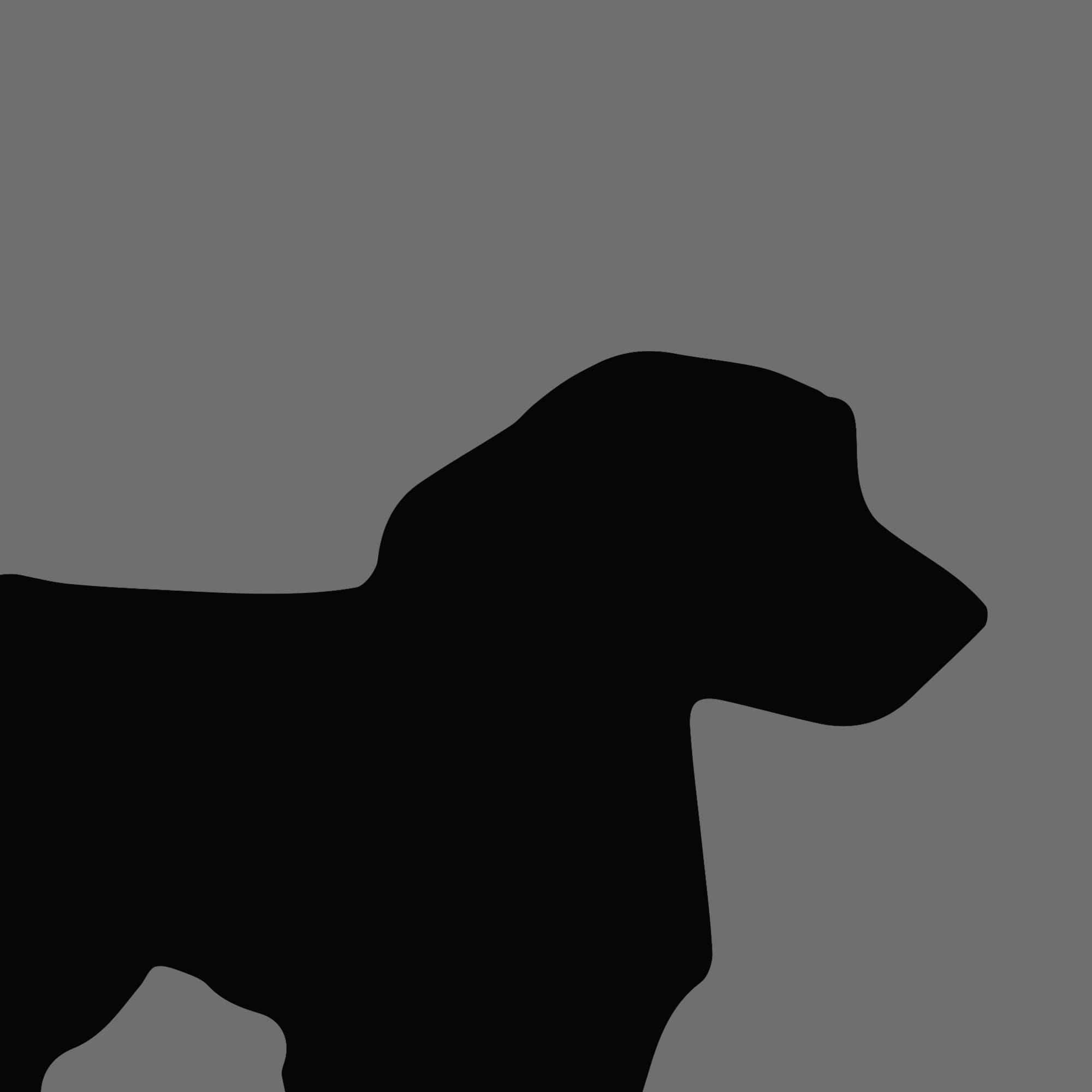 Dog Silhouette Square Basset Fauve De Bretagne