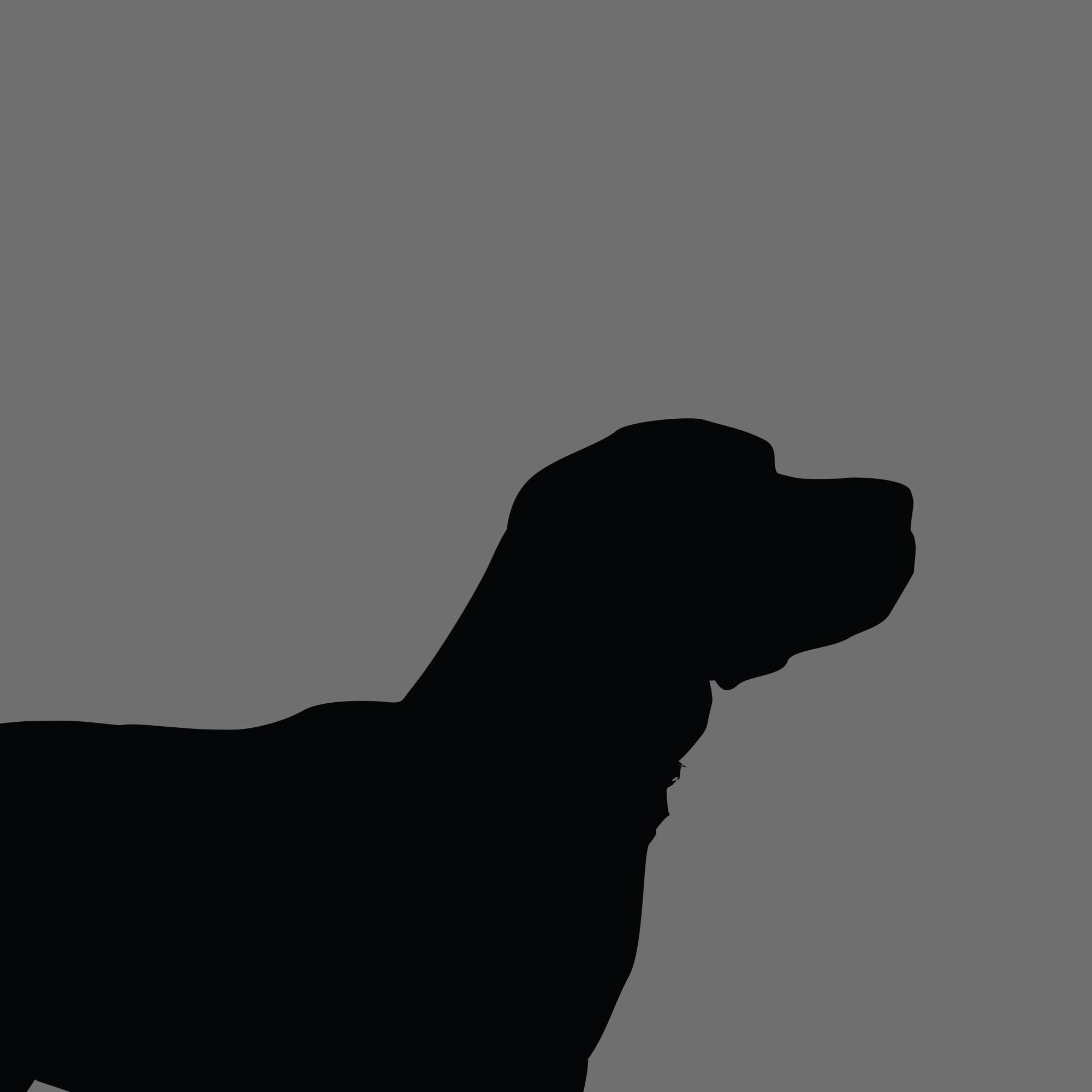 Dog Silhouette Square Beagle e1618461120859