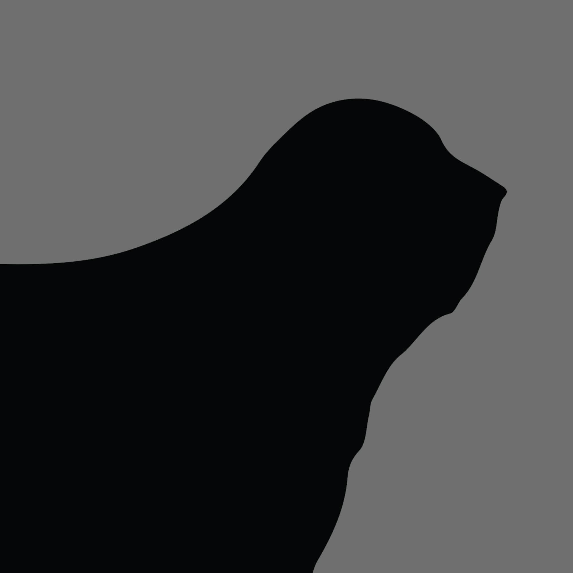 Dog Silhouette Square Bearded Collie e1618461548224