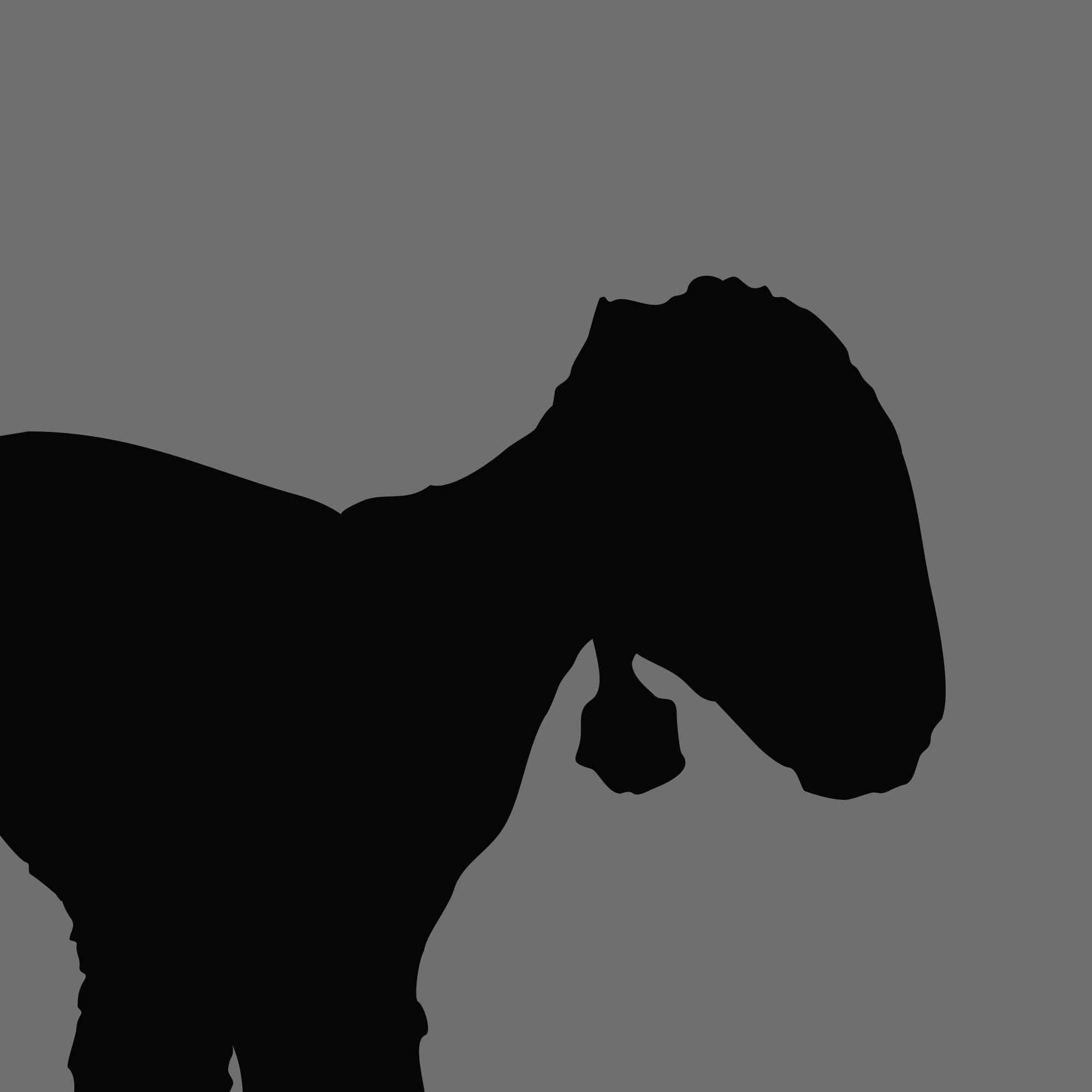 Dog Silhouette Square Bedlington Terrier