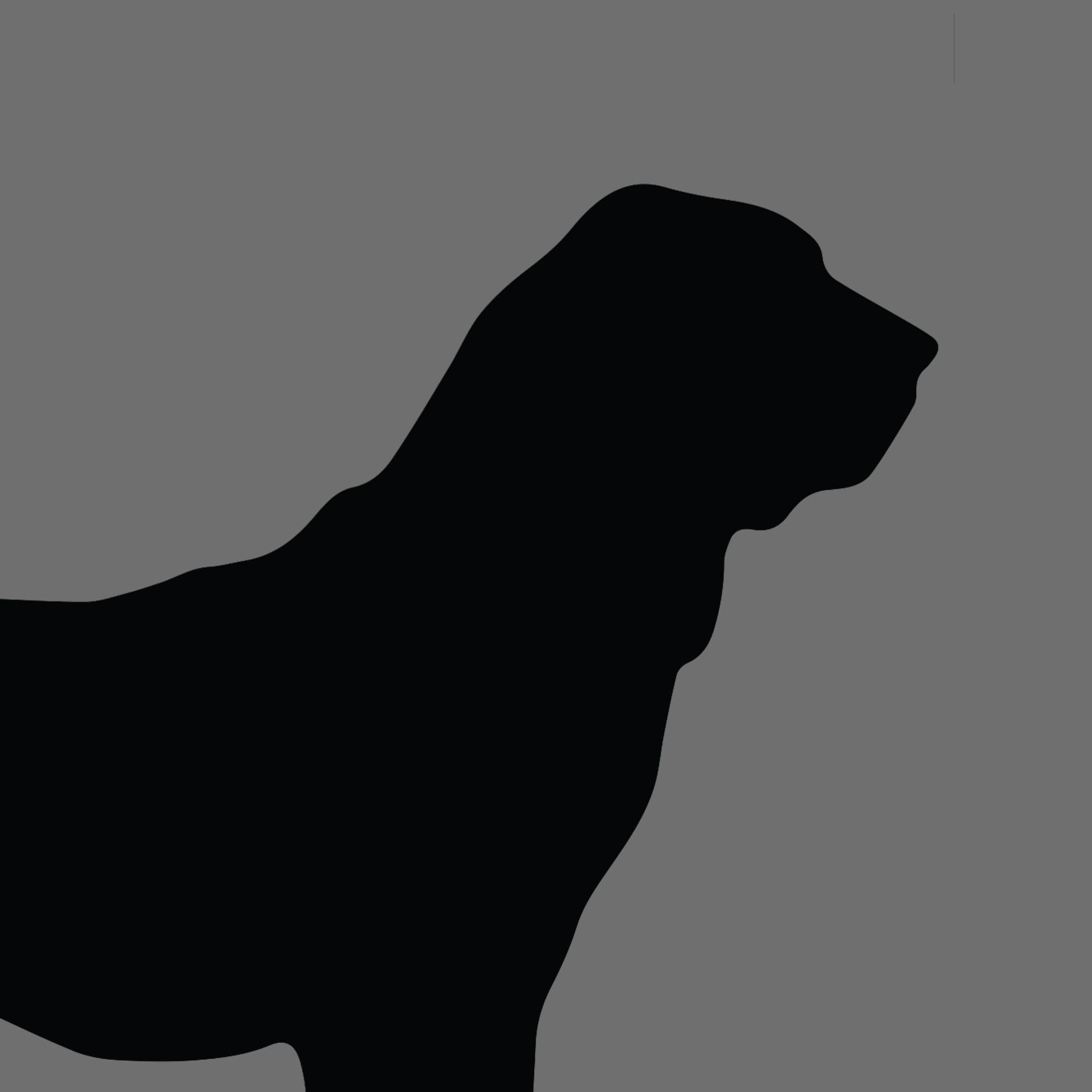 Dog Silhouette Square Bloodhound e1618461606605