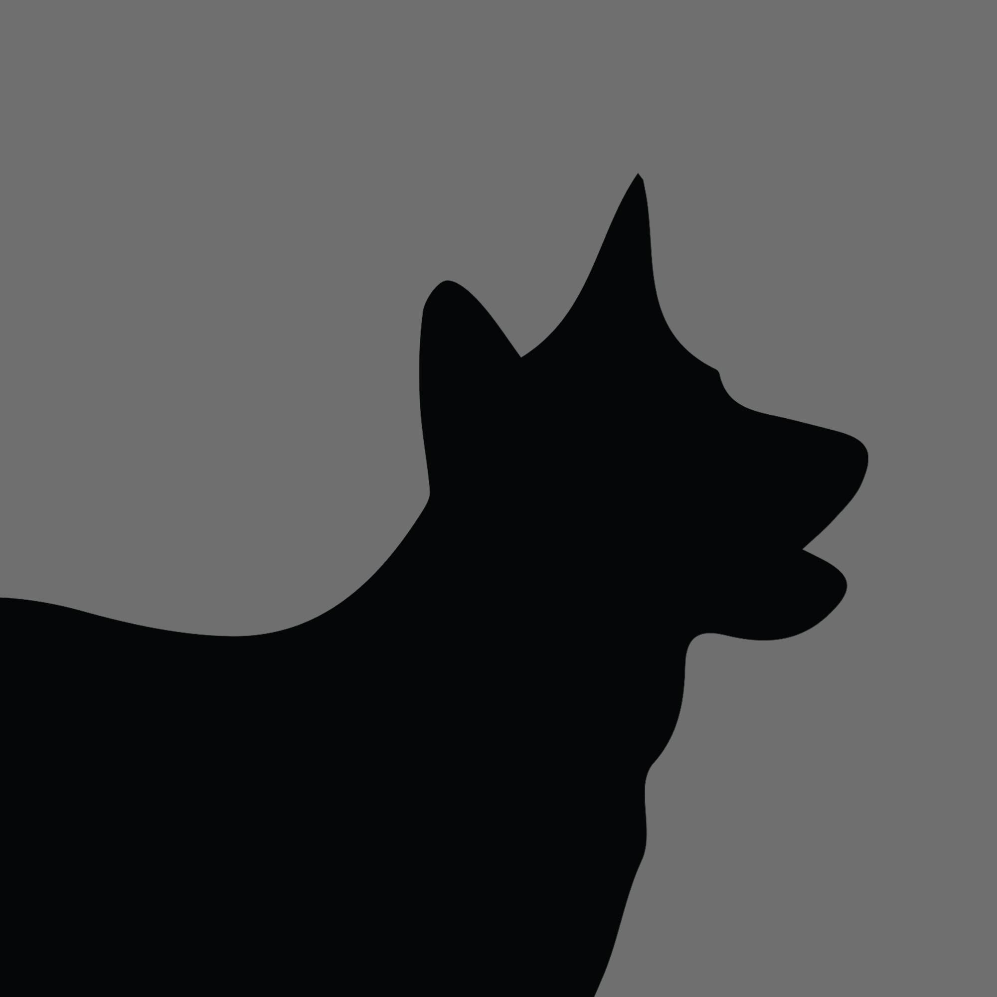 Dog Silhouette Square Blue Heeler e1618461619816