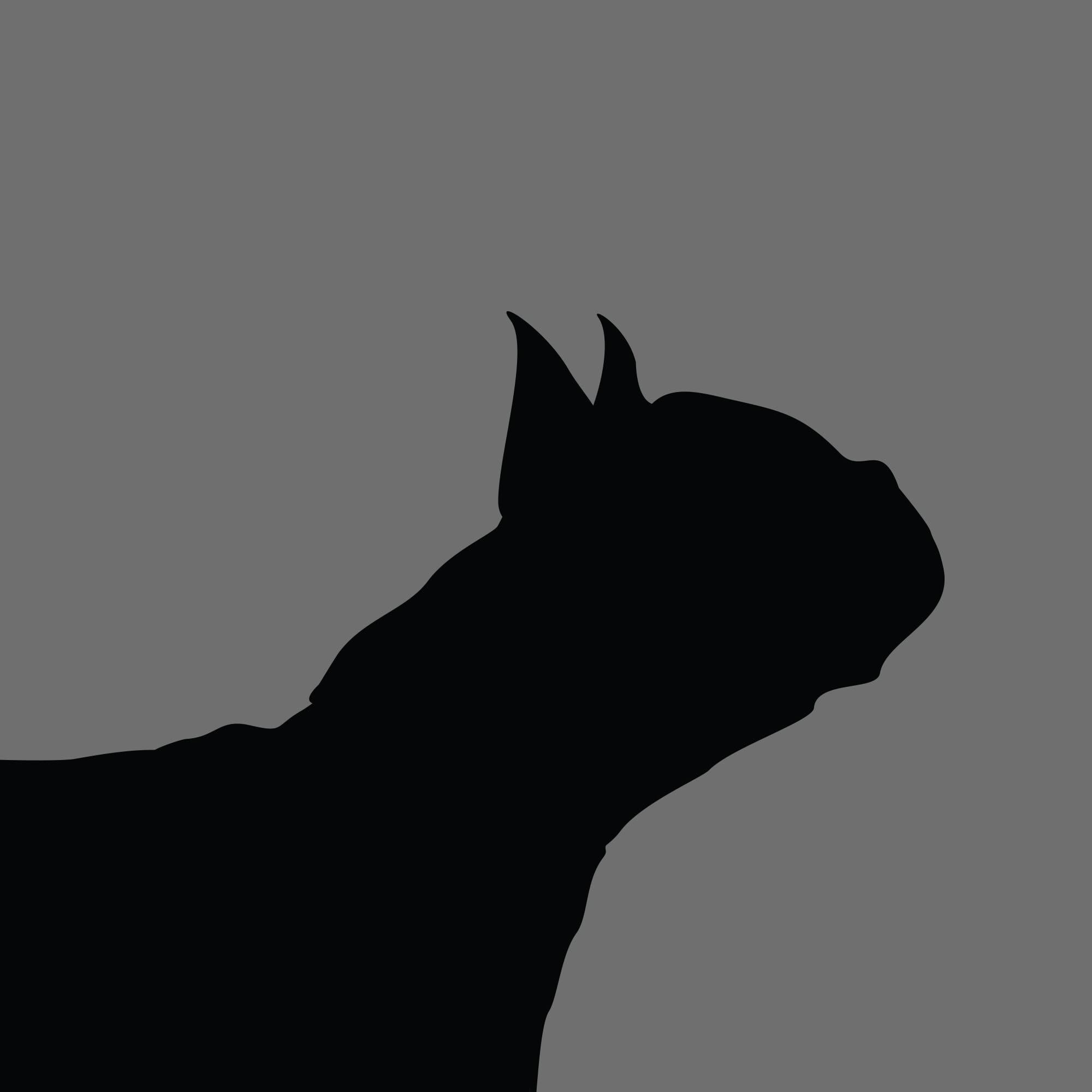 Dog Silhouette Square Boston Terrier e1618461664719