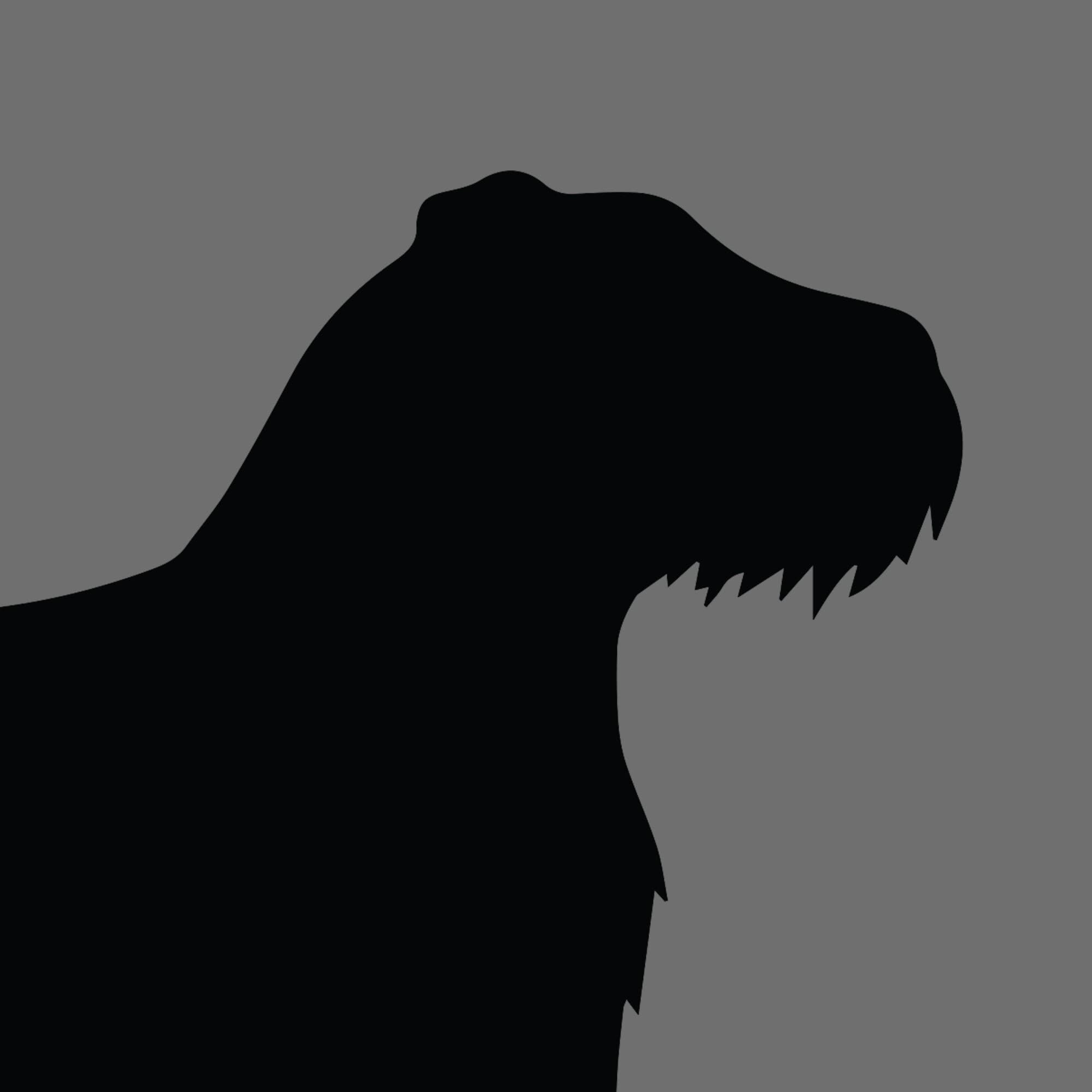 Dog Silhouette Square Bouvier des Flandres e1618461739920