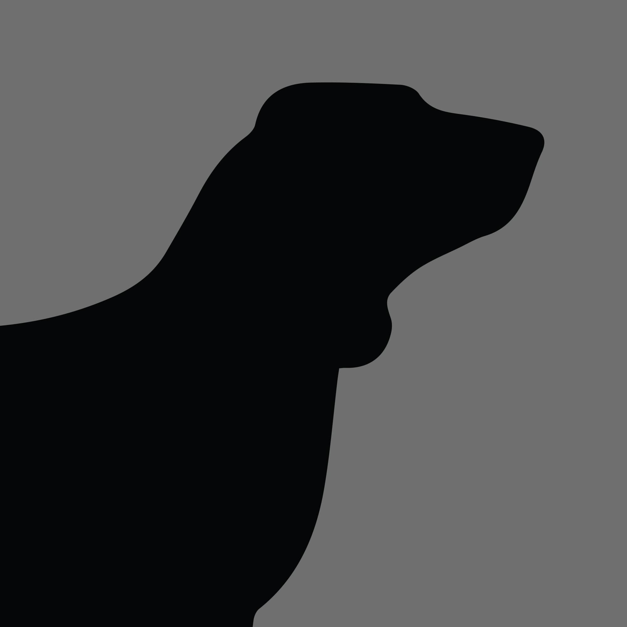 Dog Silhouette Square Bracco Italiano e1618461713350