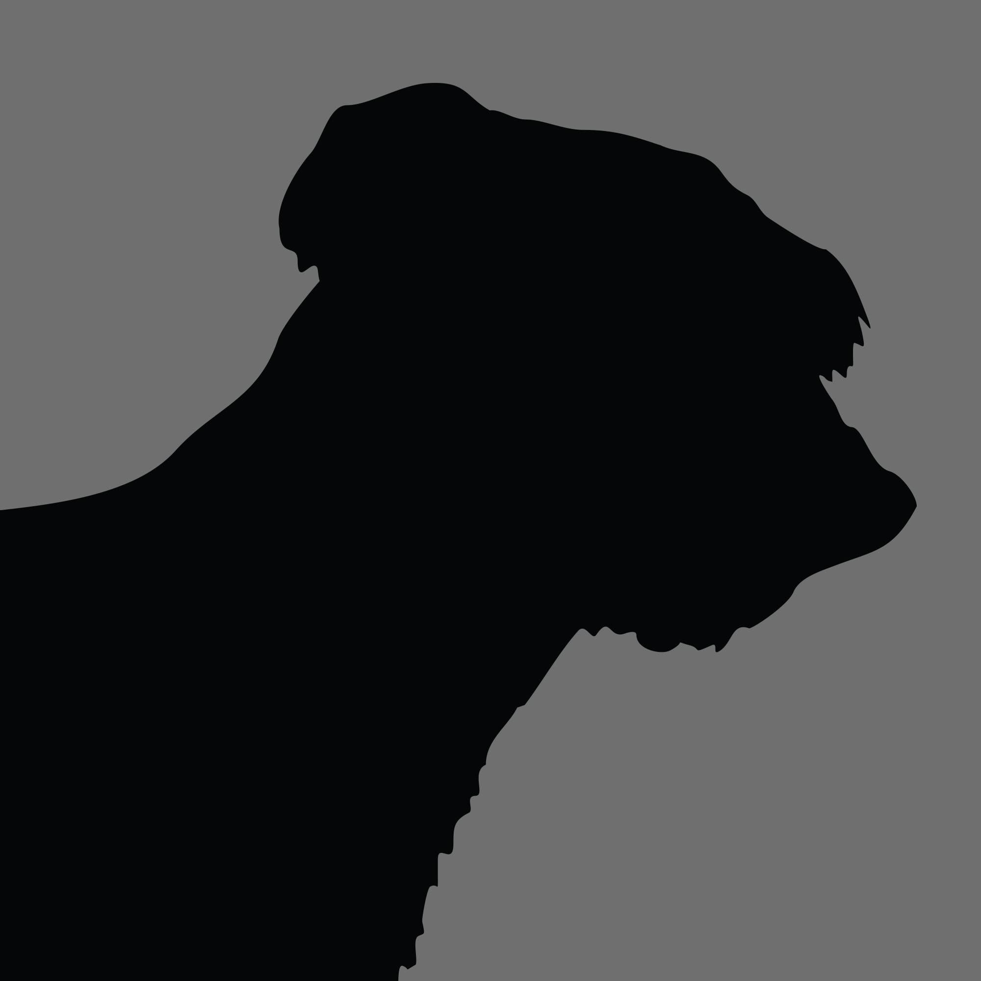 Dog Silhouette Square Briard e1618461726166