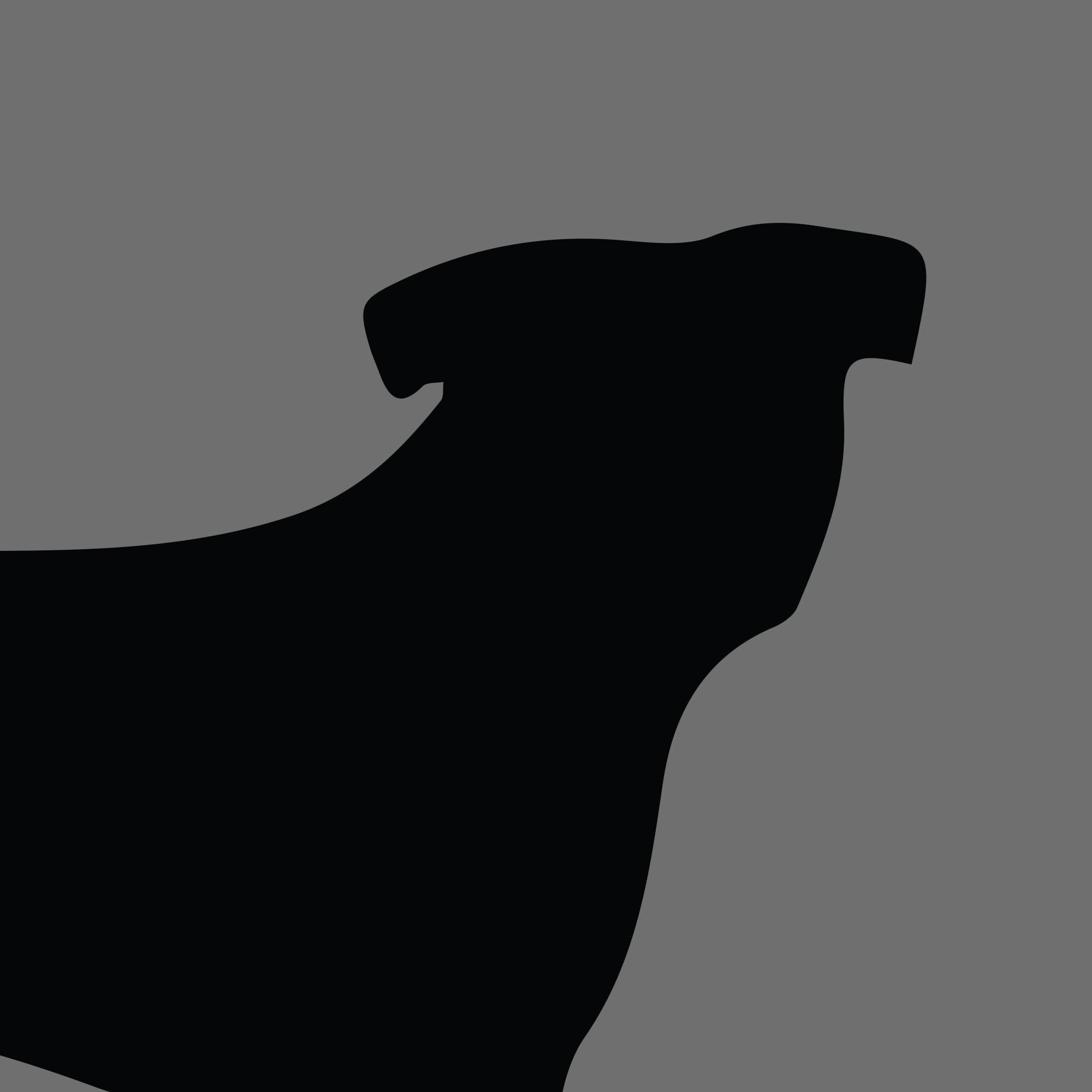 Dog Silhouette Square Bull Arab e1618461694962