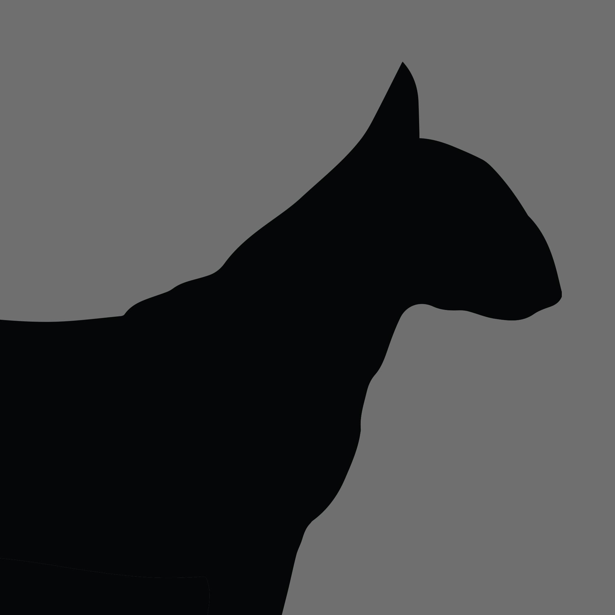 Dog Silhouette Square Bull terrier Miniature