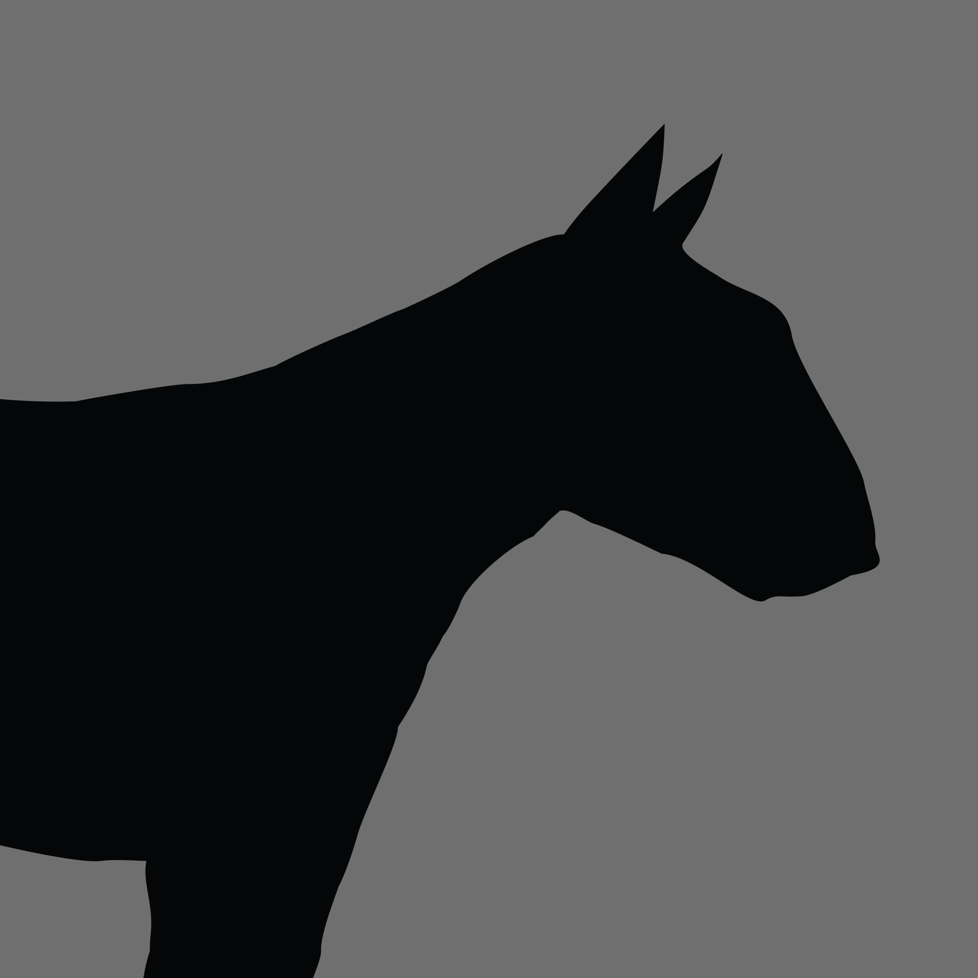 Dog Silhouette Square Bull terrier