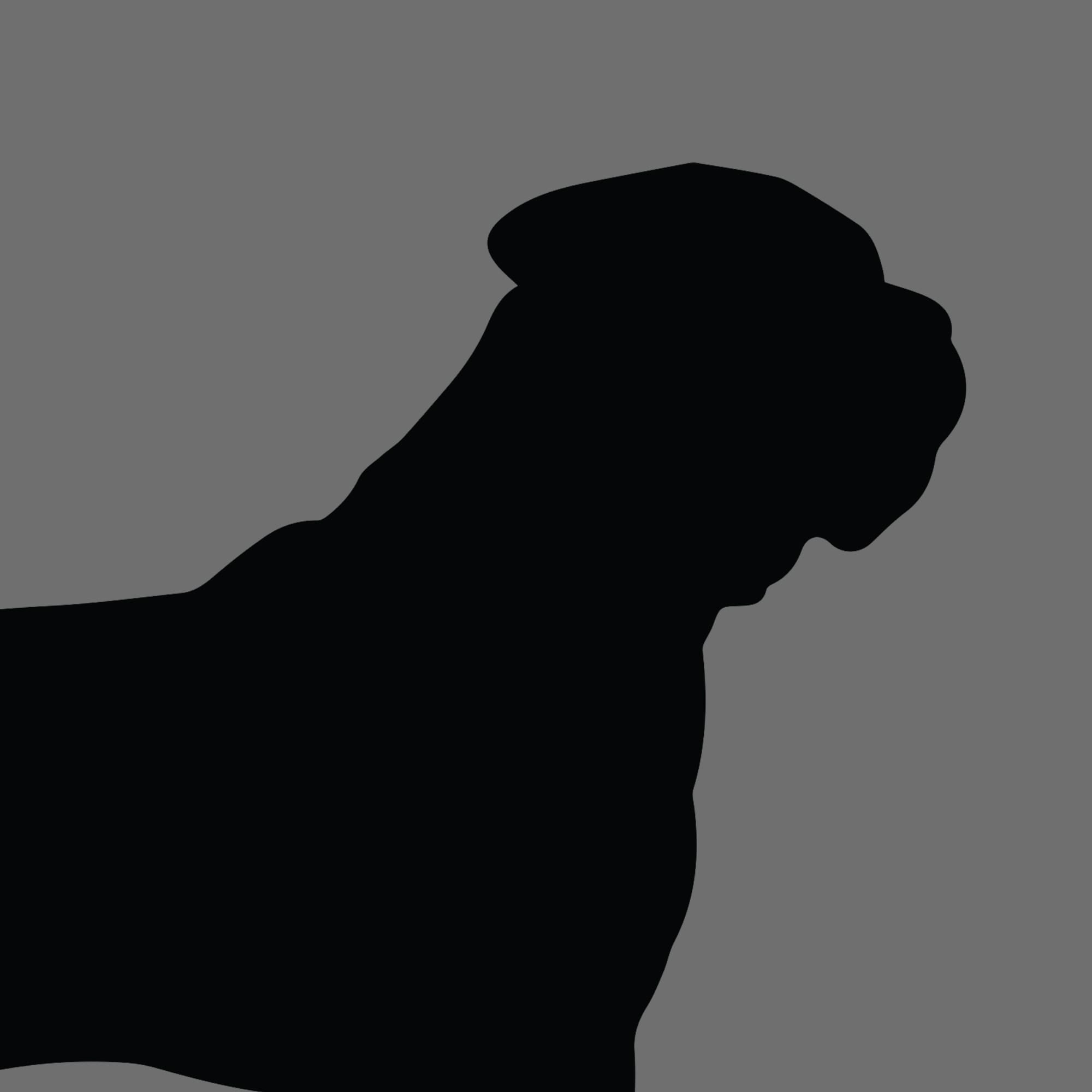 Dog Silhouette Square Bullmastiff