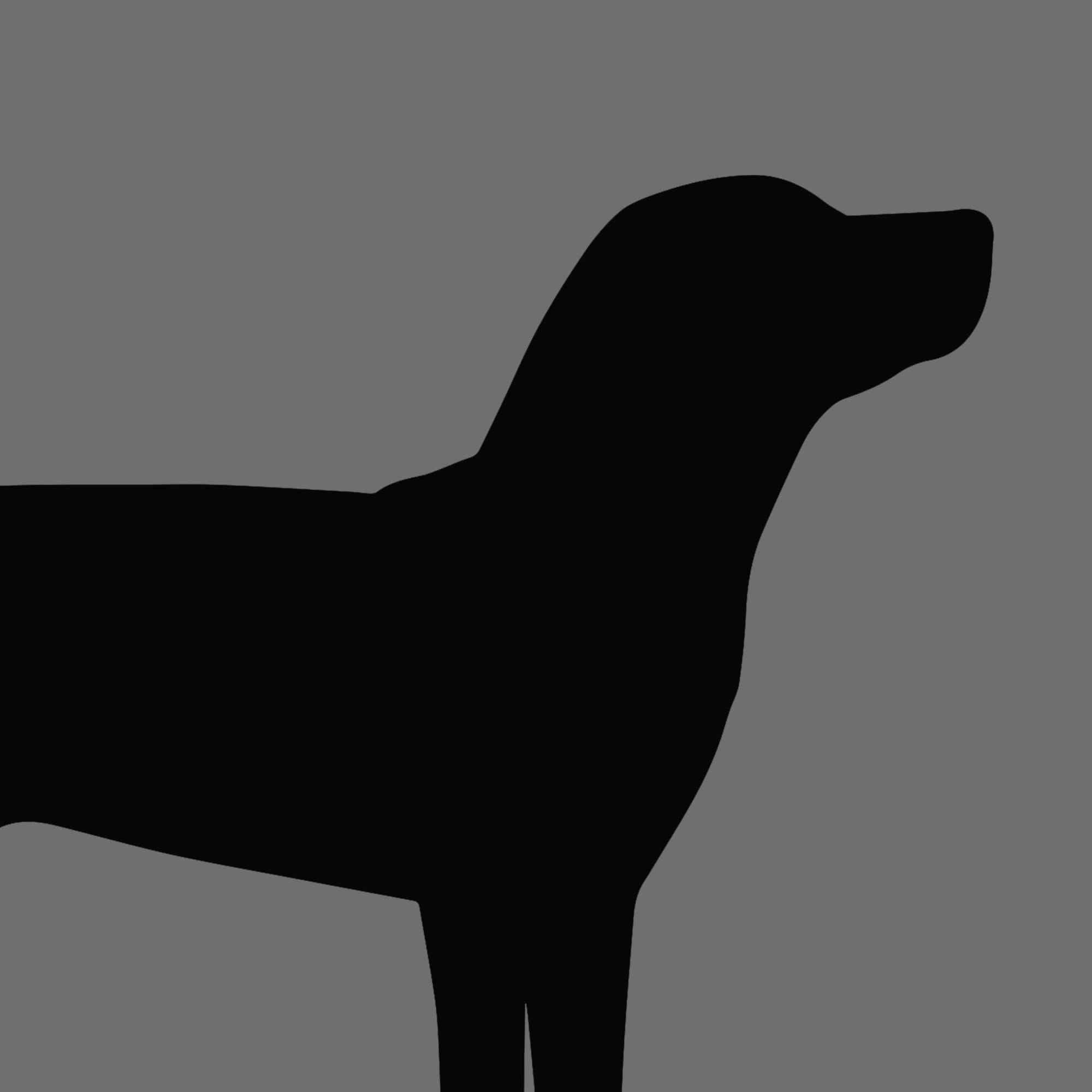Dog Silhouette Square Cattahoula