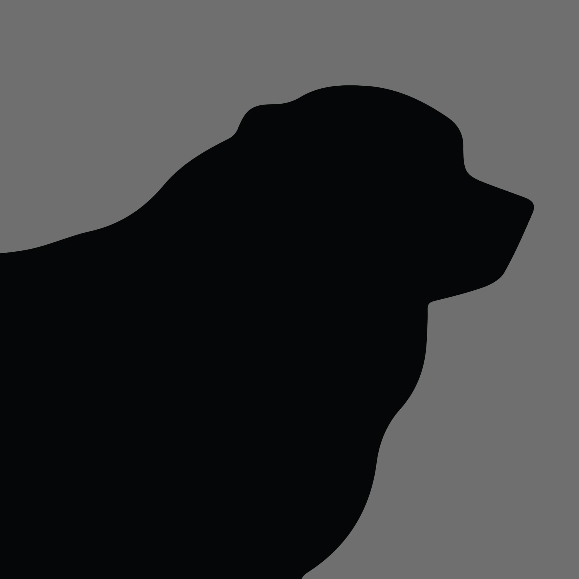 Dog Silhouette Square Caucasian Shepherd Dog
