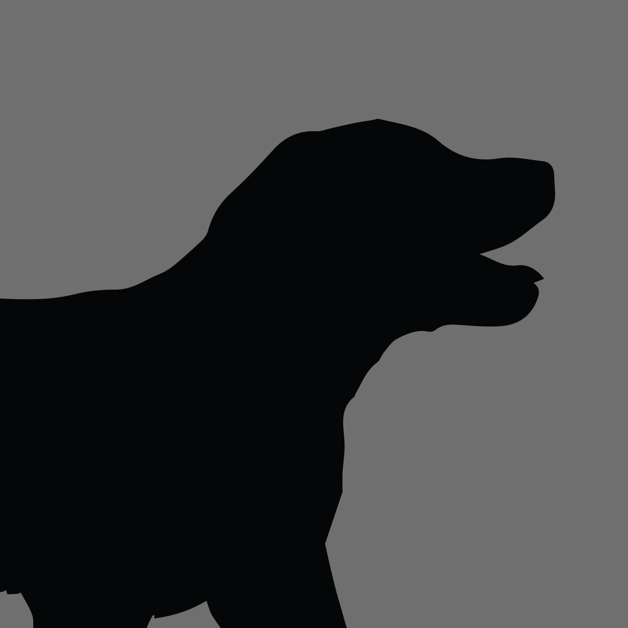 Dog Silhouette Square Chesapeake Bay Retriever